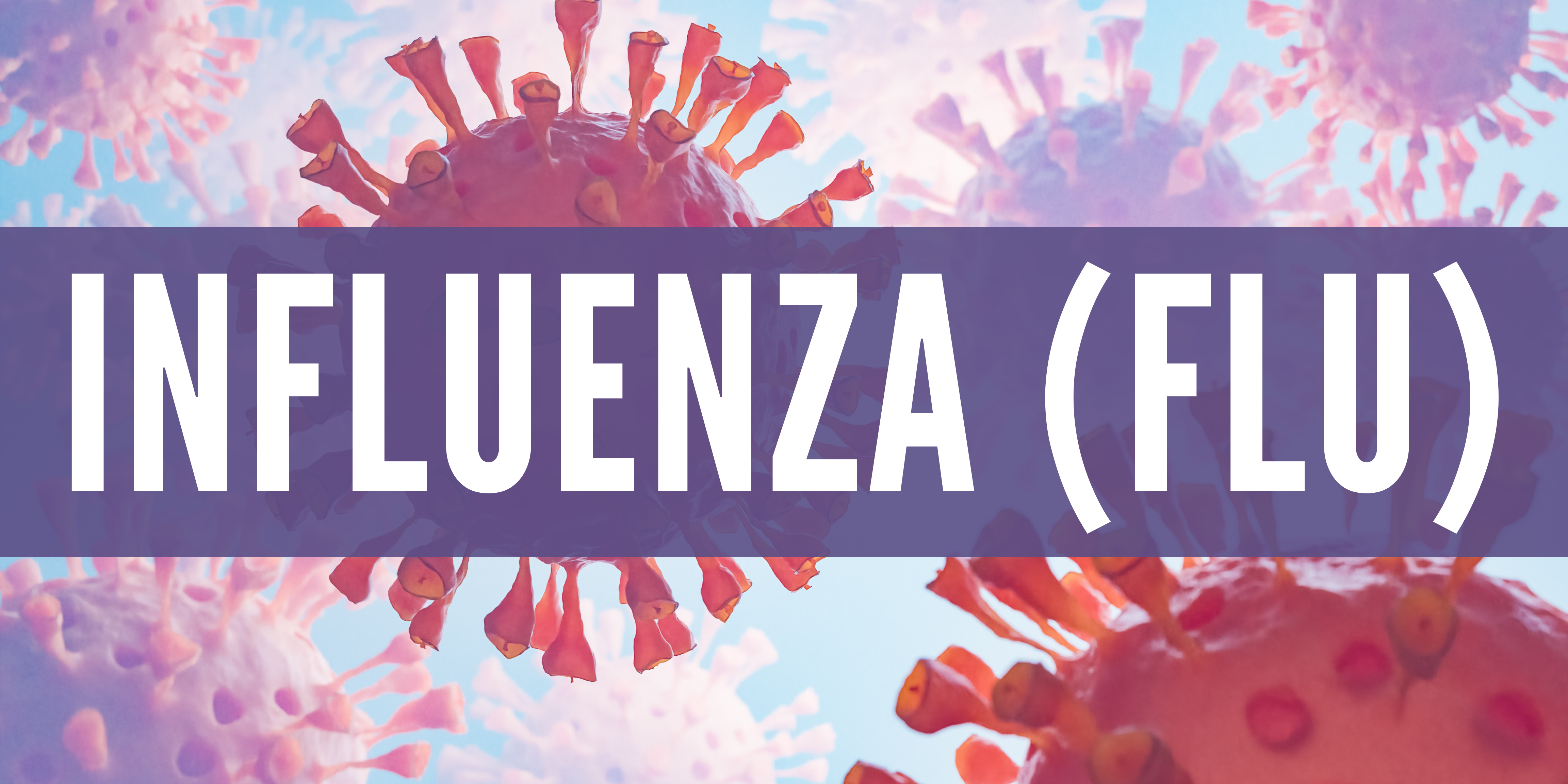 An image of a Influenza virus